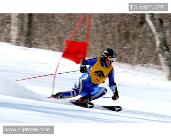 张敏独家揭秘羽毛球技巧与心得分享助你提升竞技水平